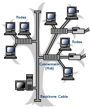 ผลการค้นหารูปภาพสำหรับ รูปแบบการเชื่อมต่อเครือข่ายคอมพิวเตอร์